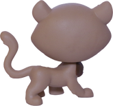 #2-S6 Cheetah "Fancie Cheetah"